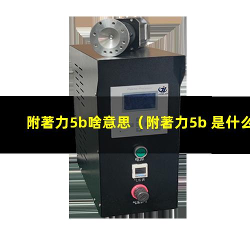 附著力5b啥意思
